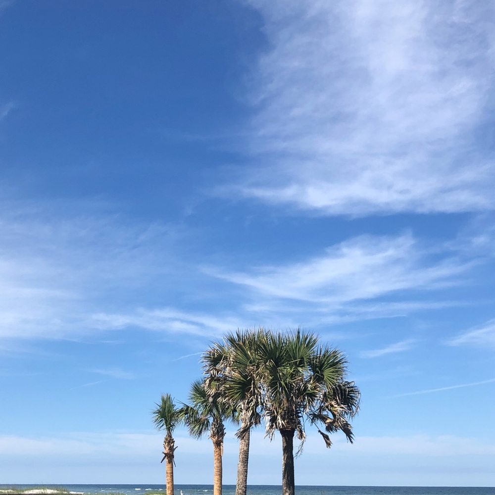 Meet your Posher, Em